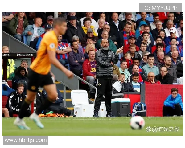 揭秘足球明星假球内幕的独家采访视频曝光