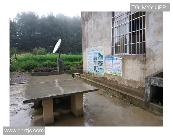 深度对话:杨强的乒乓球人生 深度对话:杨强的乒乓球人生