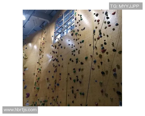 攀岩评论：南京攀岩队的快攻得失