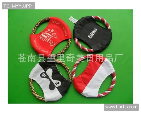 飞盘装备选购：专业服装推荐