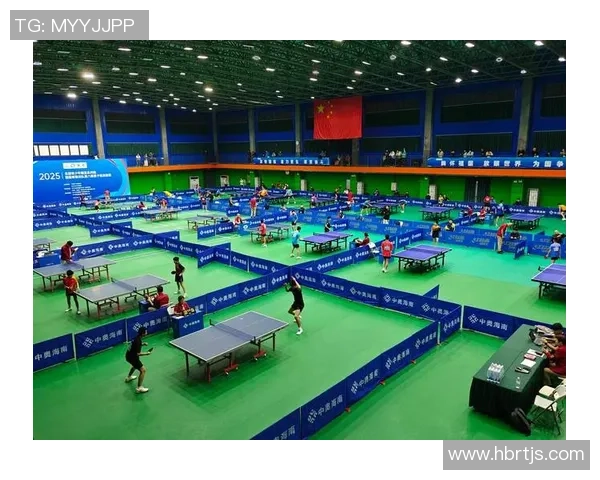 乒乓球专题：聚焦武汉乒乓球队的技术